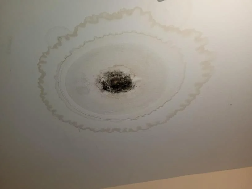 roof leak repair houston